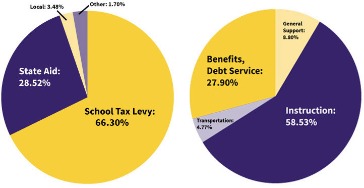 pie charts showing revenues and expenditures