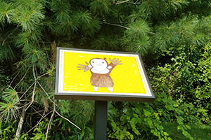 A standing frame displays an illustration of a monkey, part of a StoryWalk exhibit, along a wooded area.