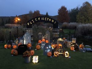 3D art class entry at Crystal Springs Resort Halloween pumpkin carving contest
