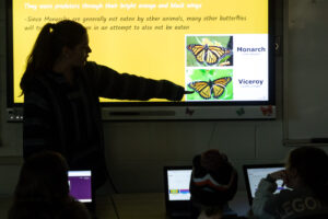 Sanfordville PIE class visits WVHS to learn about monarch butterflies