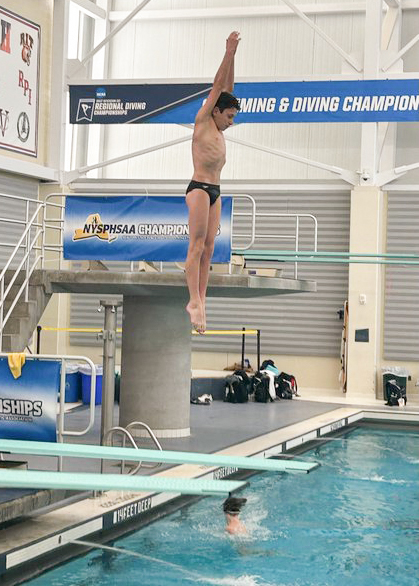 Drew Voloshin dives at the state championship meet.