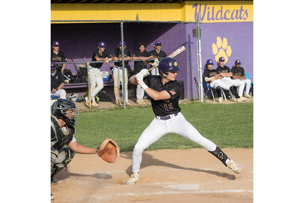 A Warwick Valley High School varsity baseball player lifts his foot to get ready to hit the ball.