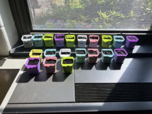 An extended school year program photo of students' planted wallflowers in different colored pots